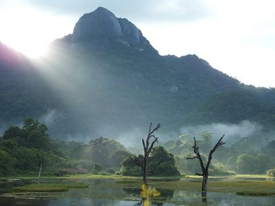 landscape landscape